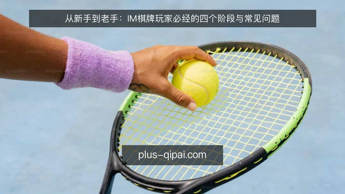 从新手到老手：IM棋牌玩家必经的四个阶段与常见问题