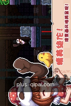专家问答